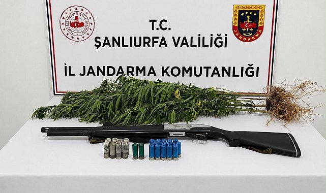 Şanlıurfa'da uyuşturucu madde ele geçirildi: 1 gözaltı