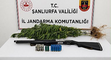 Şanlıurfa'da uyuşturucu madde ele geçirildi: 1 gözaltı