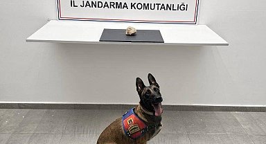 Şanlıurfa'da uyuşturucu operasyonu: 1 tutuklama