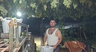 Sarıgöl'de üzüm için gece mesaisi