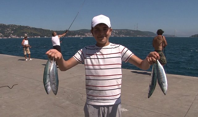 Sarıyer sahilinde palamut bolluğu: Oltasını alan sahile koştu