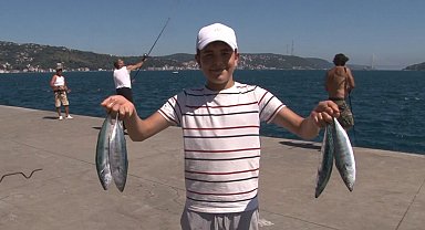 Sarıyer sahilinde palamut bolluğu: Oltasını alan sahile koştu