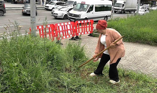 Şehir merkezinde tırpanla geçim mücadelesi