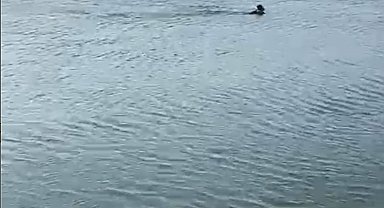 Serinlemek için girdiği göletten cansız bedeni çıktı