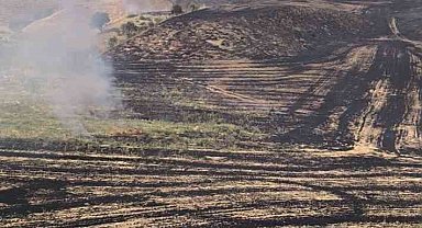 Siirt'te anız yangını meyve bahçesine sıçradı, 100 ağaç zarar gördü