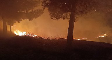 Siirt'te mezarlıkta çıkan yangın itfaiye ekiplerince söndürüldü