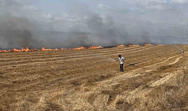 Silivri'de tarla yangınına havadan müdahale ediliyor