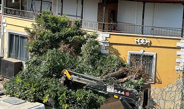 Sındırgı'da yol yapım çalışmaları sırasında ağaçlar söküldü