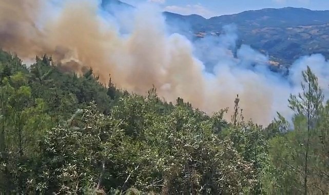 Sındırgı'daki yangın Kütahya'ya doğru ilerliyor...Hummalı müdahale sürüyor