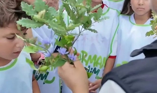 Sinop'ta minik sporculara orman sevgisi aşılandı