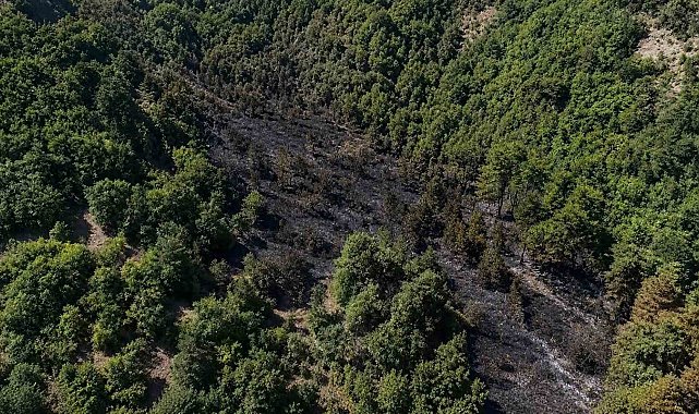 Sinop'taki orman yangını kontrol altına alındı