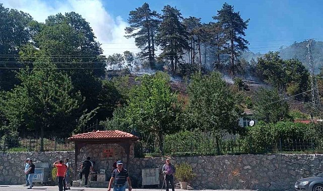 Sinop'taki orman yangınıyla ilgili 1 kişi gözaltında