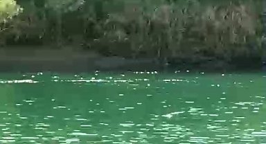 Şırnak'ta 4 kadının bindiği bot devrildi: 1 ölü