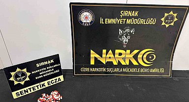 Şırnak'ta asayiş ve narkotik operasyonları düzenlendi