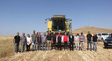 Sivas'ta ilk kez toprakla buluşturulan 5 farklı çeşit buğday hasat edildi