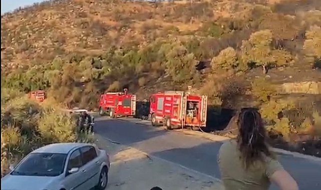 Söke'deki orman yangını kontrol altına alındı