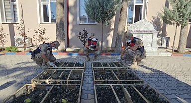 Suriye'ye geçirilmek istenen 2 bin 114 saka kuşuna 19 milyon 871 bin TL ceza