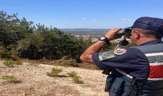 Tarihi Alan'da jandarma ekiplerince denetim