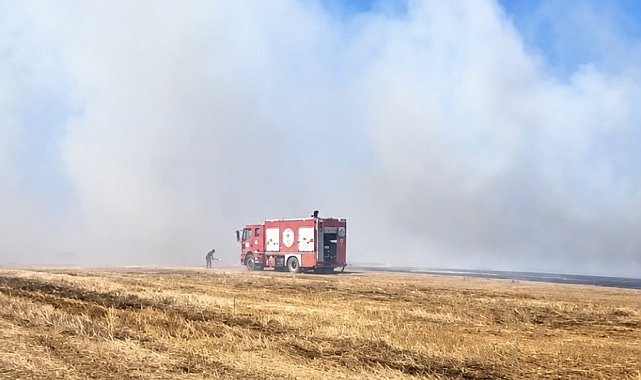 Tekirdağ'da anız yangını