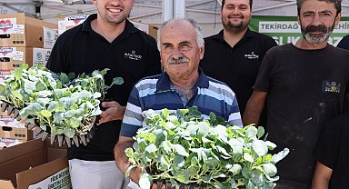 Tekirdağ'da üreticiye kışlık sebze desteği: 104 bin fide dağıtılıyor