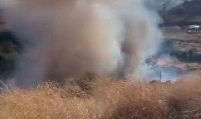 Tekirdağ'da yangında 80 dekar alan zarar gördü