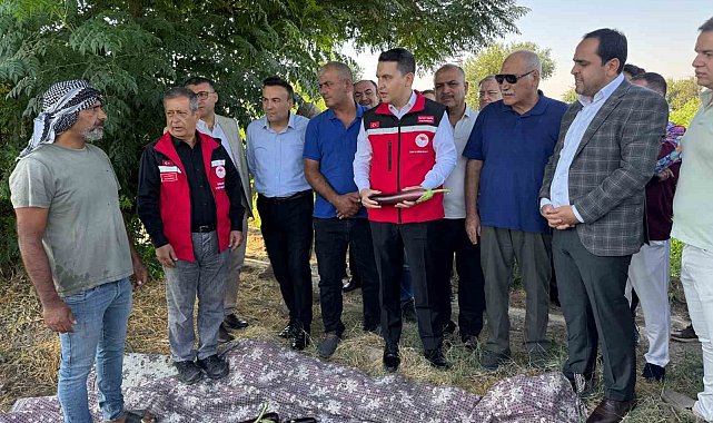 Tescilli Birecik patlıcanında hasat başladı