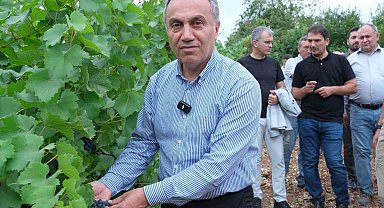 TOGÜ bağlarında sezonun ilk üzüm hasadı yapıldı