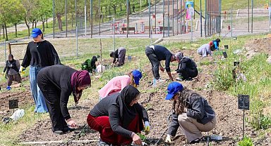 Toprakta hayat, sofrada bereket: Mahalle Bostanları'nda yaz hasadı