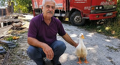 Torunların hevesi geçti, dedenin en yakın dostu oldu