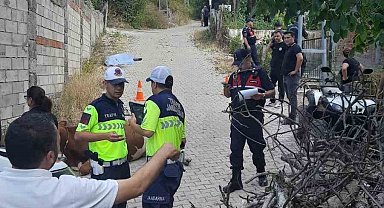 Traktörün freni patladı: 1 ölü