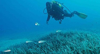 Türkiye'nin ilk Deniz Milli Parkı Fethiye-Kaş ve Kuzey Ege sınırlarında