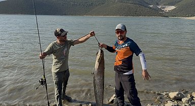 Turna avına çıkan balıkçıların oltasına 127 santimlik dev yayın takıldı