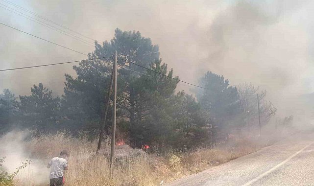 Üç ayrı yangında bin dönümden fazla arazi zarar gördü