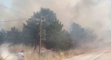 Üç ayrı yangında bin dönümden fazla arazi zarar gördü