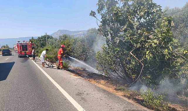 Ula'da yol kenarında başlayan alevler korkuttu