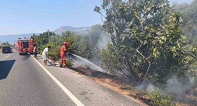 Ula'da yol kenarında başlayan alevler korkuttu