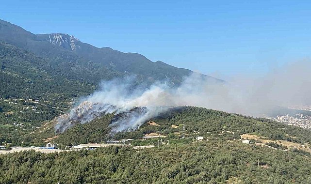 Uludağ'ın eteklerindeki orman yangınına helikopterler müdahaleye başladı