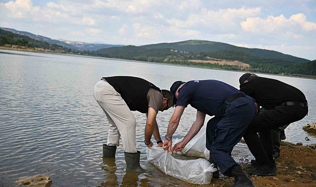 Uşak'ta Göğem Göleti'ne pullu sazan yavruları bırakıldı