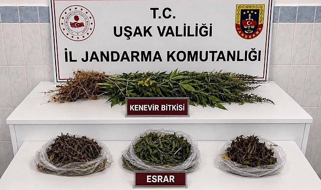 Uşak'ta kaçakçılık operasyonu