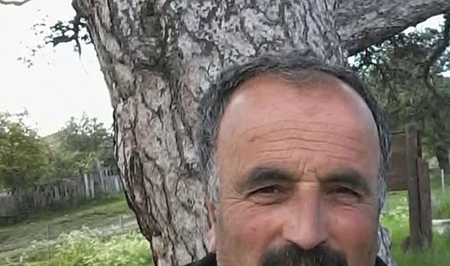 Üzerine ağaç devrilen vatandaş hayatını kaybetti
