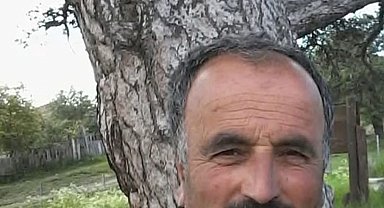 Üzerine ağaç devrilen vatandaş hayatını kaybetti