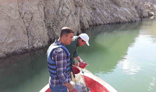 Van'da sazangiller av yasağı sona erdi