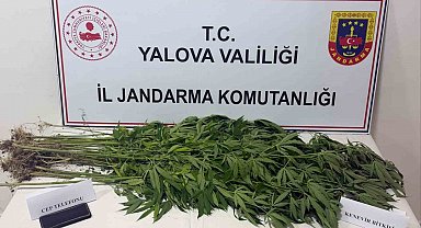 Yalova'da uyuşturucu operasyonu: 3 gözaltı