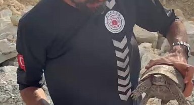 Yangın bölgesinde canlıların tahliyesi için seferber oldular