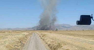 Yangında 100 dekar tarım arazisi zarar gördü