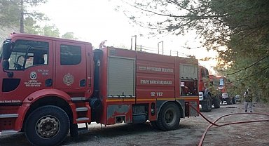 Yayladağı'nda ormanlık alan yangını kontrol altına alındı