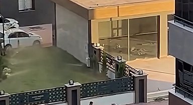 Yeni Parti Milletvekili Melih Meriç bıçaklı saldırıya uğradı