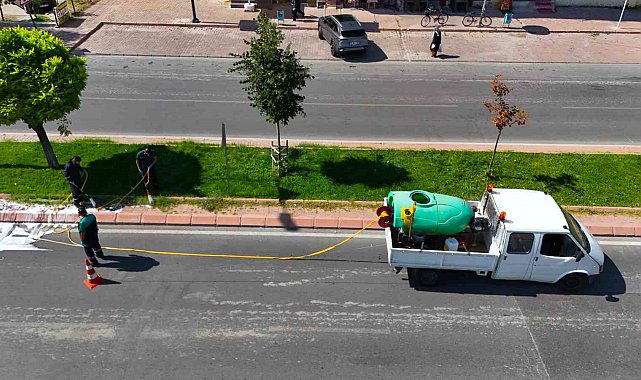 Yeşil alanlarda hastalık ve zararlılara karşı mücadele sürüyor