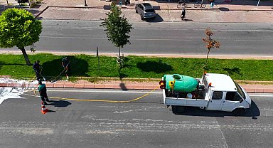 Yeşil alanlarda hastalık ve zararlılara karşı mücadele sürüyor