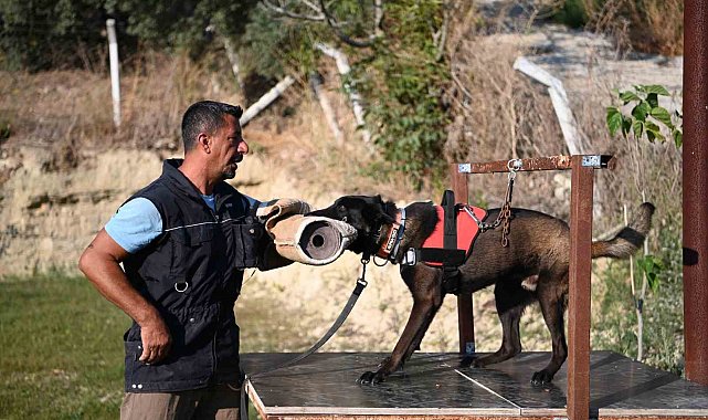 Yetiştirdiği kurtarma köpekleriyle doğal afetlerde birçok hayat kurtardı